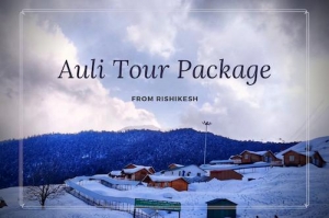 Auli Trip Package at the best cost | Tour Packages for Auli 